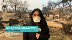 Пожары в Лос-Анджелесе: апокалипсис по-голливудски